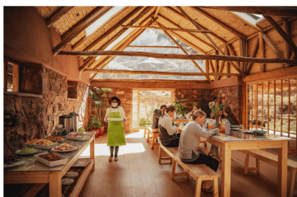 5 Ayahuasca Retreats in South America to Explore This June 2025