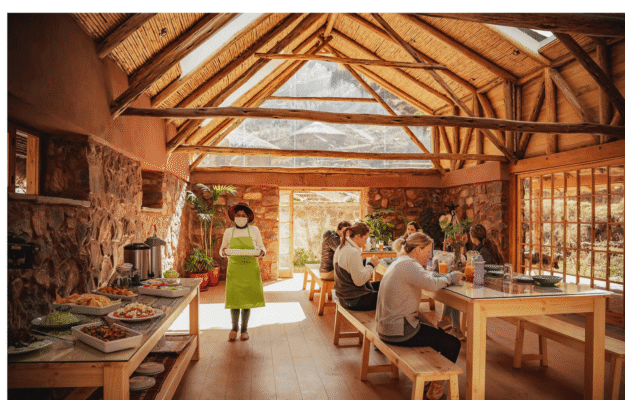 Ayahuasca Retreat in South America
