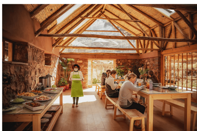 Ayahuasca Retreat in South America
