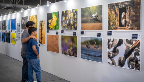 environmental film festival