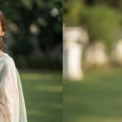 linen sarees
