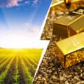gold rate today in Jamnagar