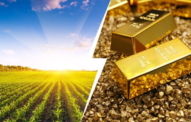 gold rate today in Jamnagar