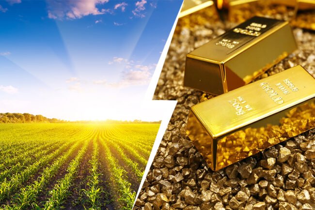 gold rate today in Jamnagar