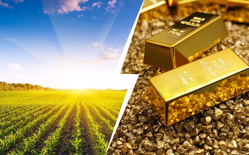 gold rate today in Jamnagar